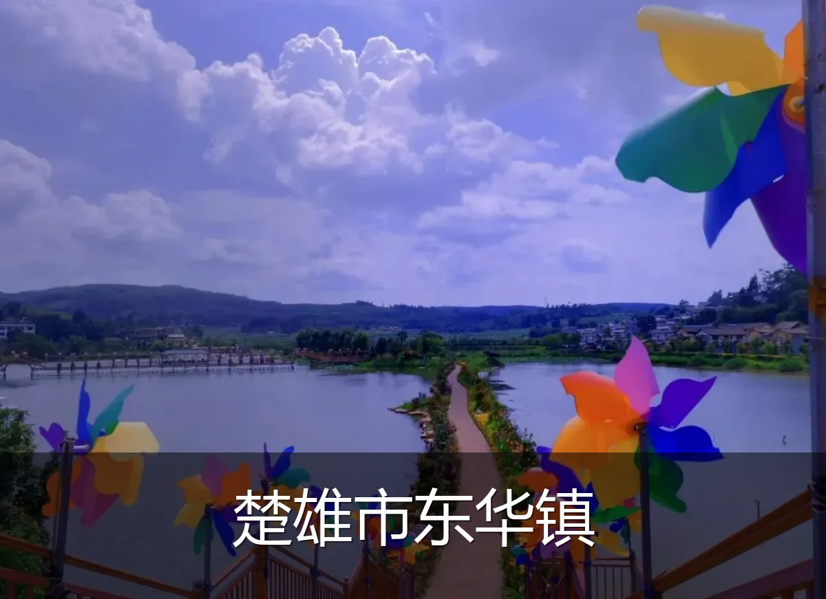 楚雄市东华镇