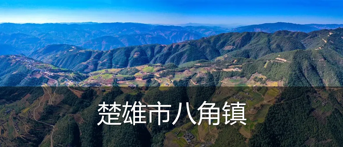 楚雄市八角镇