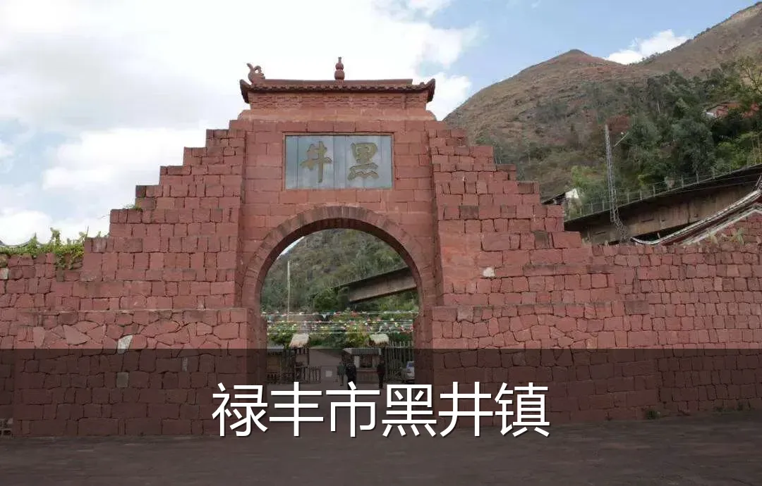 禄丰市黑井镇