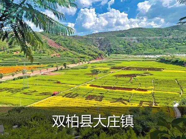 双柏县大庄镇