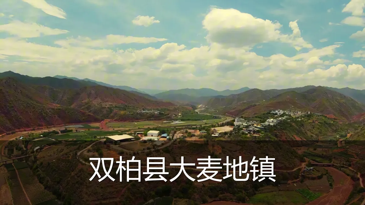 双柏县大麦地镇