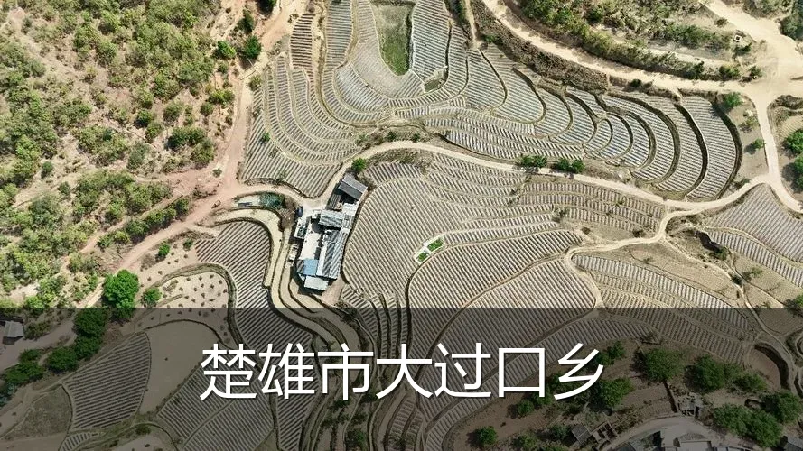 楚雄市大过口乡