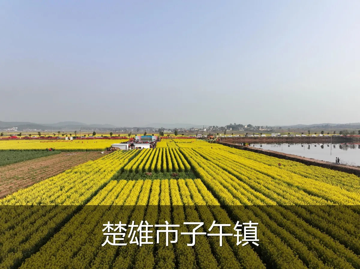 楚雄市子午镇