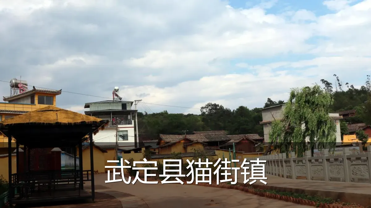 武定县猫街镇