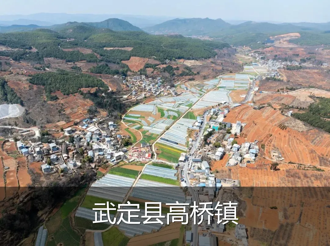 武定县高桥镇
