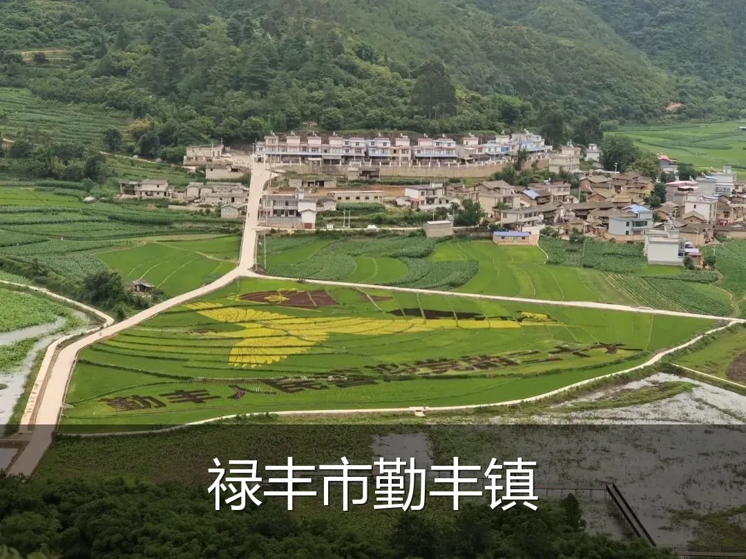 禄丰市勤丰镇